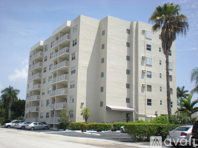 A tall white building with balconies and a palm tree in front.
