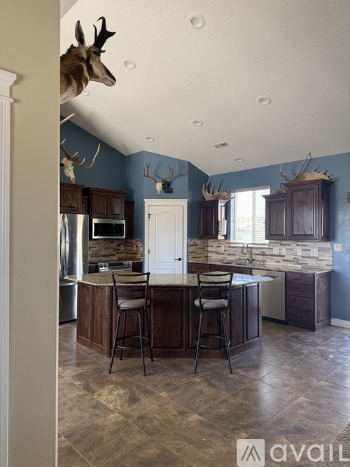 A kitchen with a bar area and a deer head mounted on the wall.
