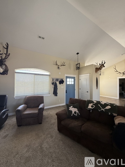 A living room with a brown couch and a deer head mounted on the wall.