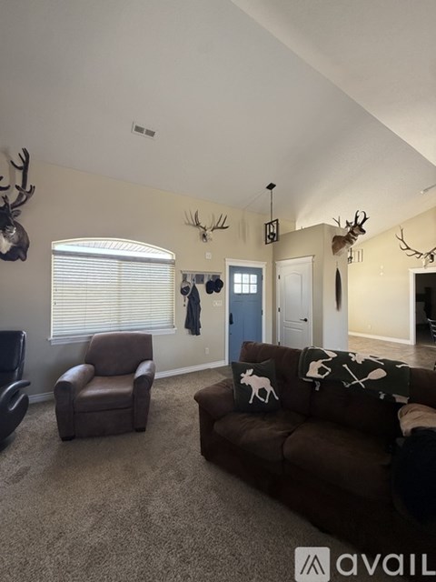 A living room with a brown couch and a deer head mounted on the wall.
