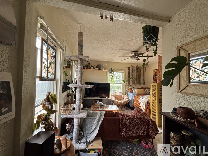 A room with a cat tree in the middle of it.
