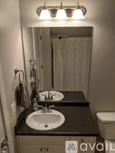 A bathroom with a sink, mirror, toilet and shower curtain.
