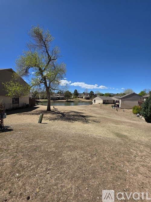 A tree in a yard with a house in the background.
