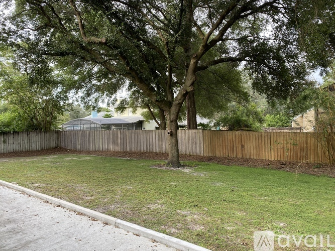 A backyard with a tree and a fence.