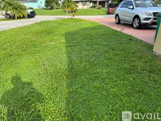 A grassy area with a shadow of a person on it.