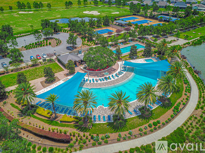 A large outdoor swimming pool surrounded by palm trees and a grassy area.