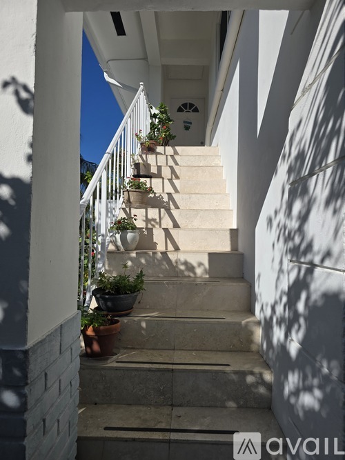 A staircase with a white railing and potted plants on the steps.