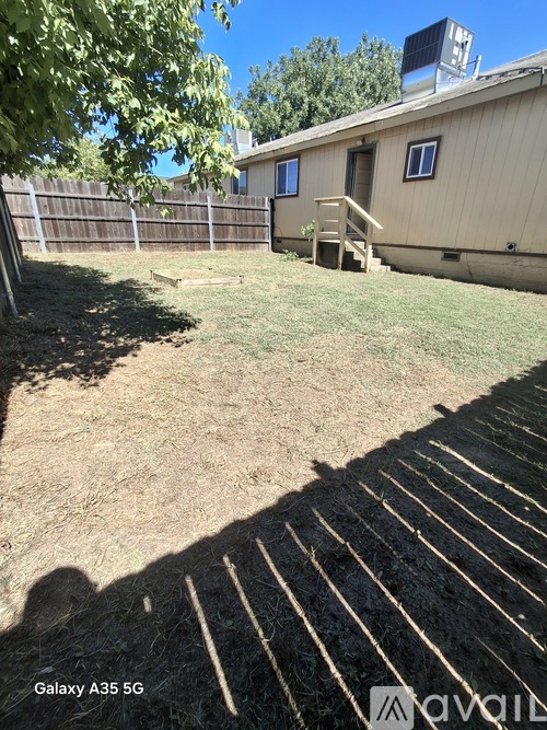 A backyard with a fence, a small building, and a tree.