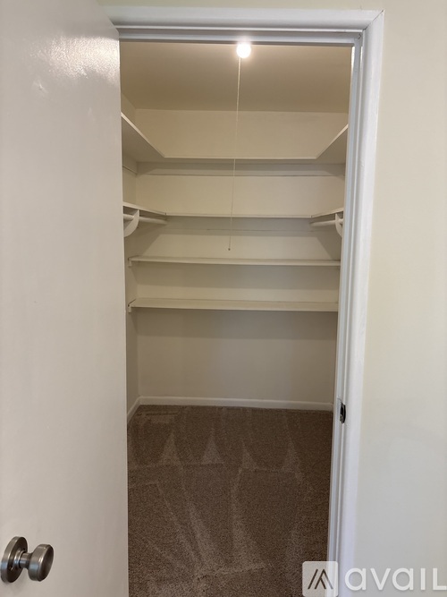A white door with a silver handle is open to a room with a carpeted floor and three shelves.