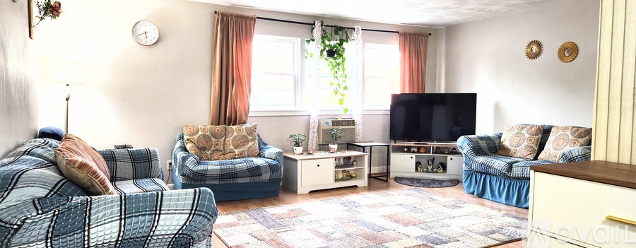 A living room with two couches and a television.