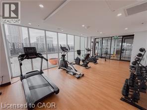 A gym with treadmills, exercise bikes, and other equipment.