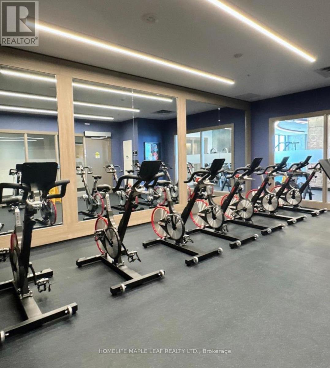 A gym with a row of stationary bikes.