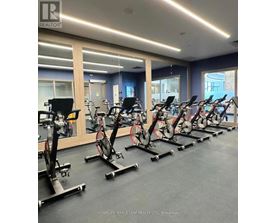 A gym with a row of stationary bikes.
