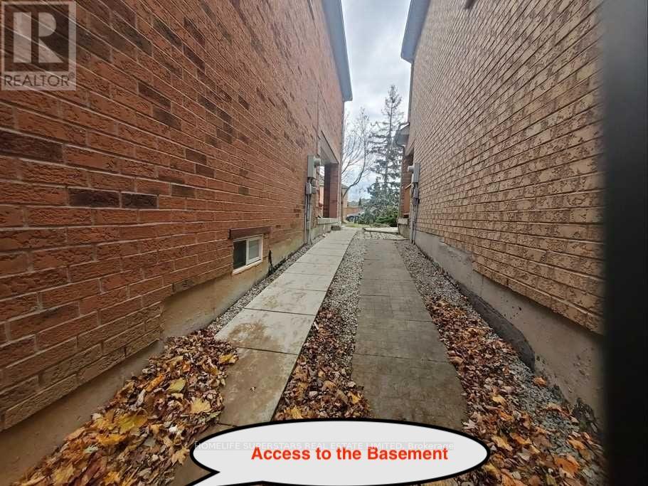 A pathway with leaves on the ground leading to a basement.