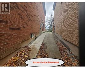 A pathway with leaves on the ground leading to a basement.