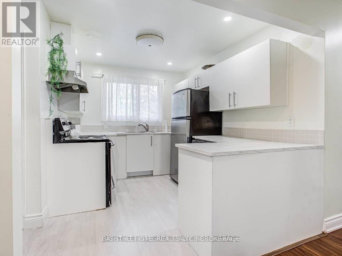 A white kitchen with a black fridge and a plant hanging from the ceiling.
