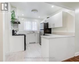 A white kitchen with a black fridge and a plant hanging from the ceiling.