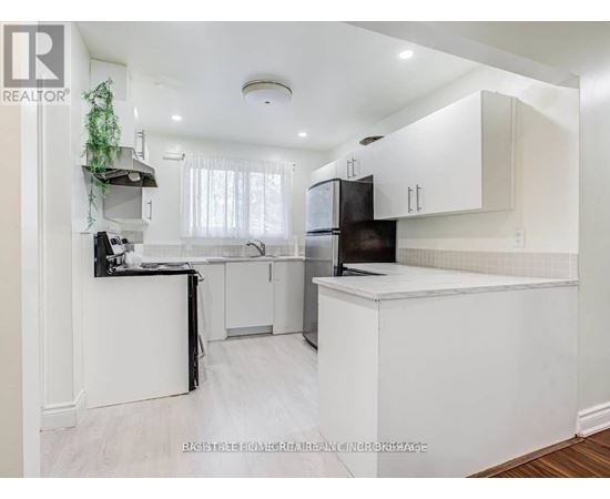 A white kitchen with a black fridge and a plant hanging from the ceiling.