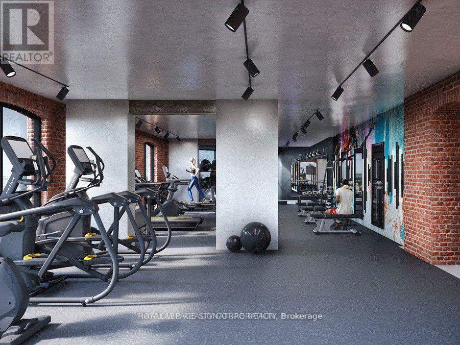 A gym with treadmills, weights and exercise balls.