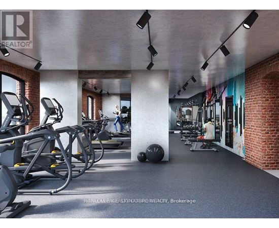 A gym with treadmills, weights and exercise balls.