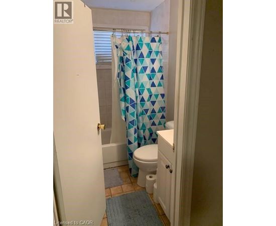 A bathroom with a toilet, a shower curtain and a rug.