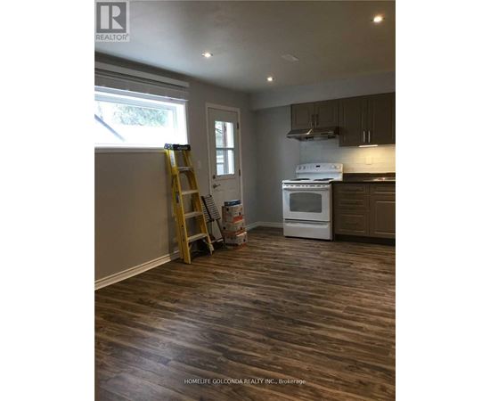 A room with wooden flooring and a ladder is shown.