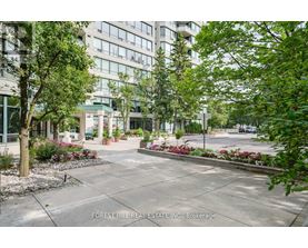 A courtyard with a lot of greenery and a building in the background.
