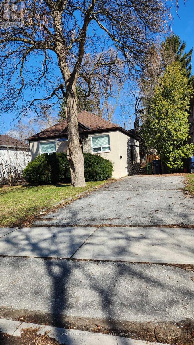 A tree stands in front of a house on a sunny day.
