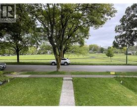 A grassy area with a tree and a sign that says REALTOR.