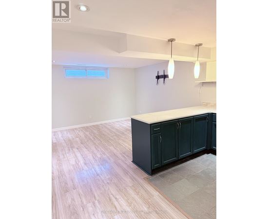 A kitchen with dark green cabinets and light wooden flooring.