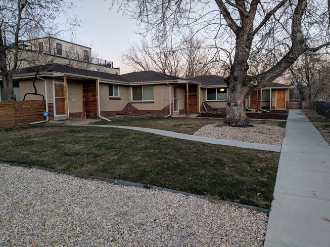 A tree stands in front of a row of houses.