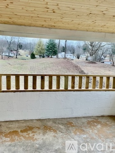 A view from inside a building looking out to a yard with trees.