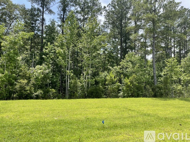 A green field with trees in the background.