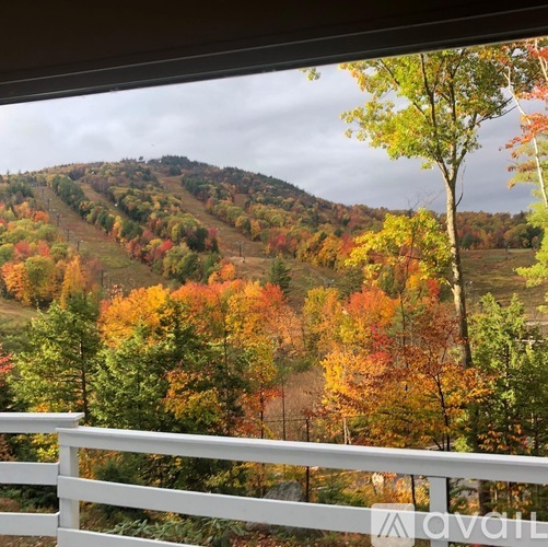 A white fence in front of a hill with trees in autumn colours.