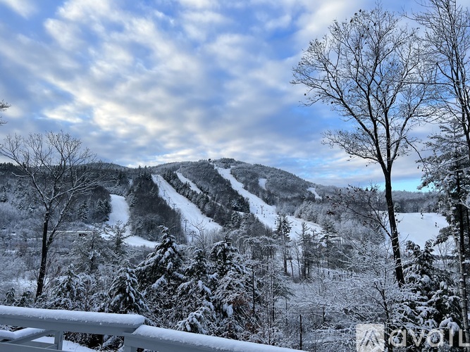A snowy landscape with a ski slope in the distance.