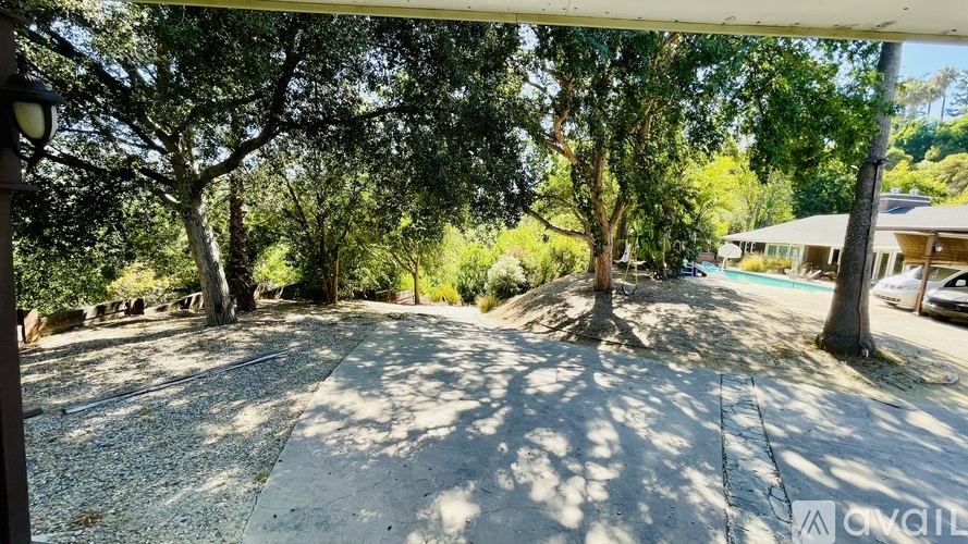 A backyard with a gravel path and trees.