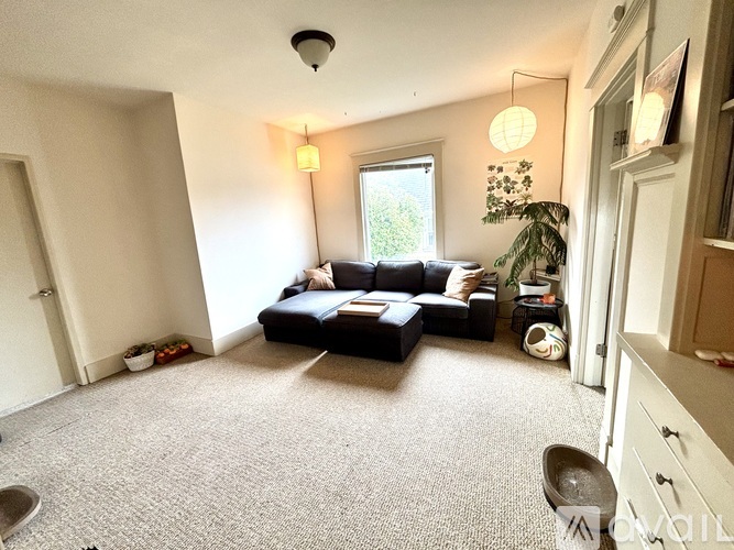 A living room with a grey carpet and a black sofa.