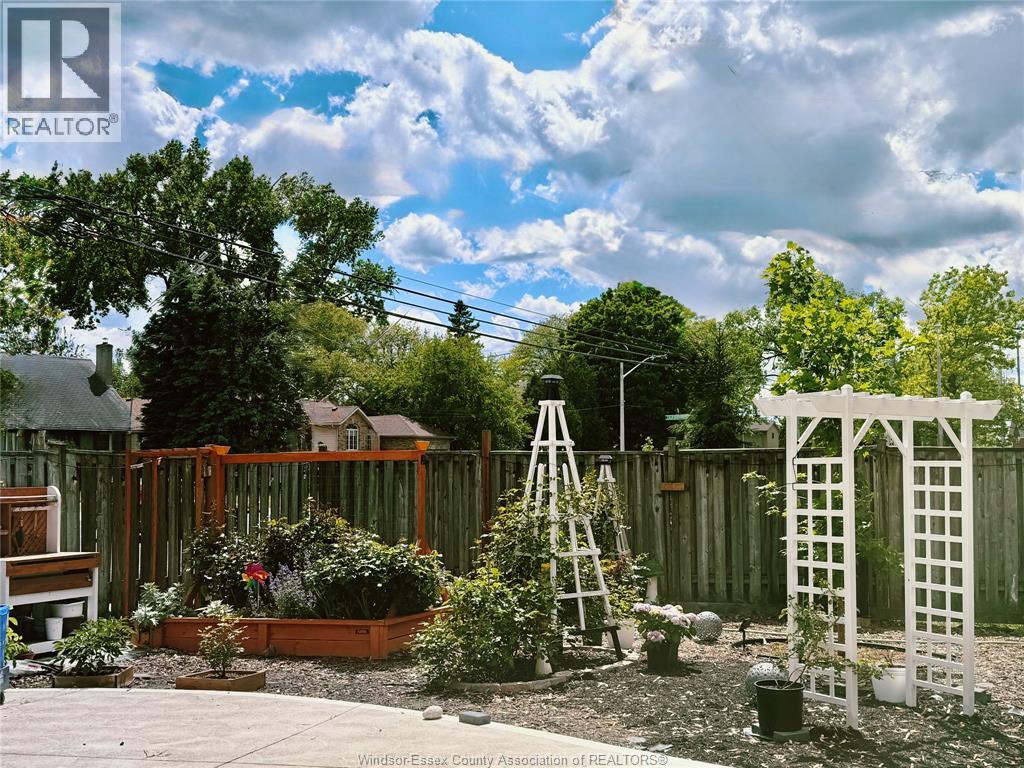 A garden with a white trellis, a wooden bench, and a variety of plants.
