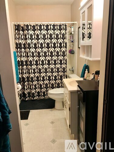 A bathroom with a black and white shower curtain.