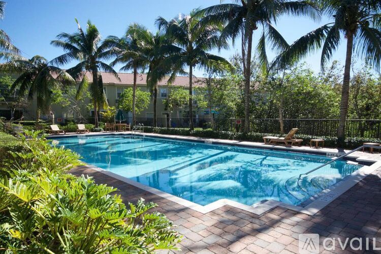 A pool surrounded by palm trees and plants.