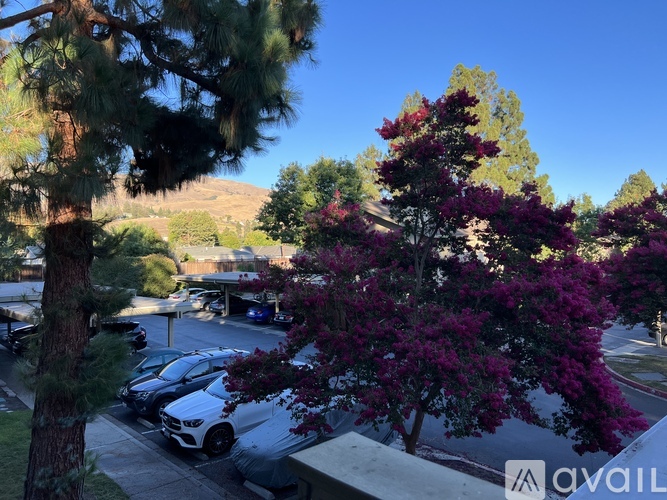 A tree with purple flowers is in the foreground of a parking lot.