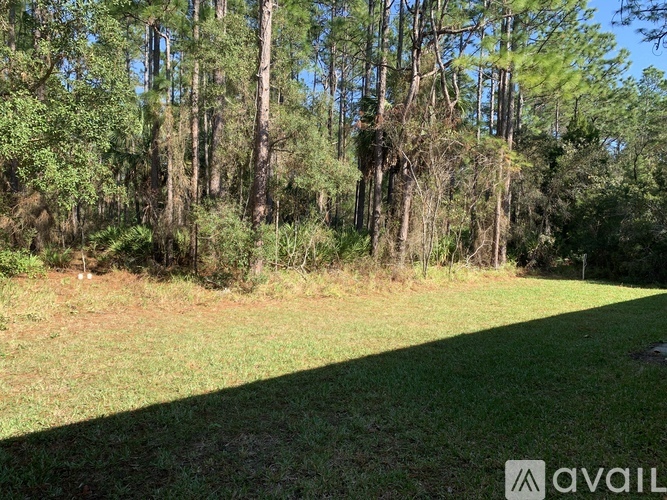 A grassy area with trees in the background.
