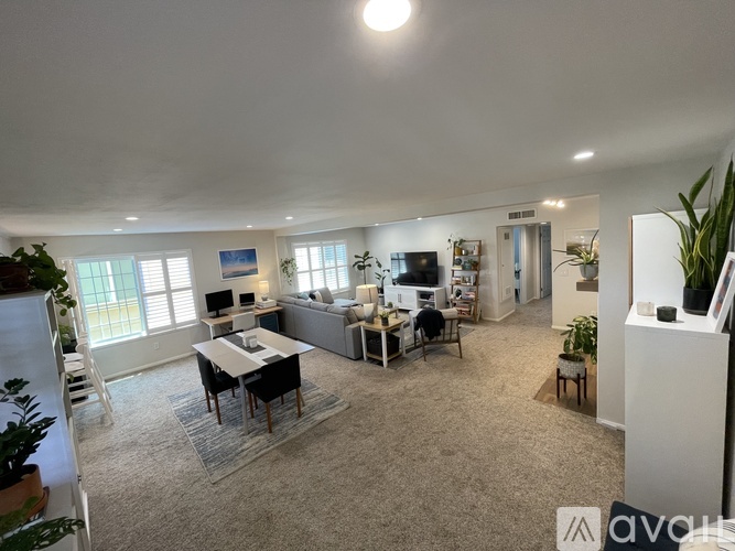 A spacious living room with a dining table and chairs, a couch, a television, and a potted plant.
