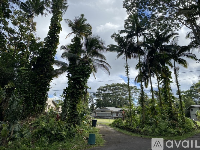 A pathway leads through a lush green area with palm trees.