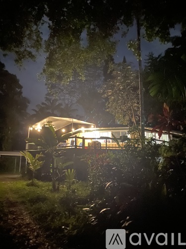 A house is lit up at night with trees in the foreground.