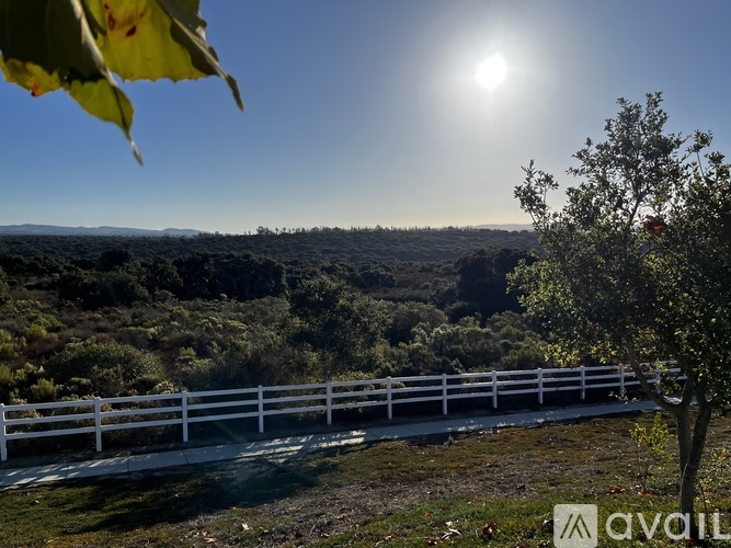 A white fence runs along a grassy hillside under a bright sun.