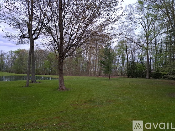 A grassy field with a tree in the middle and a lake in the background.