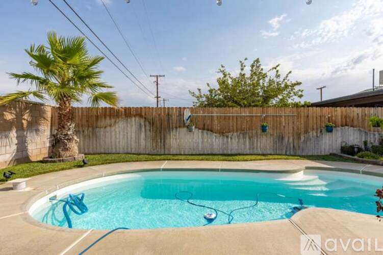A swimming pool surrounded by a wooden fence and a palm tree.