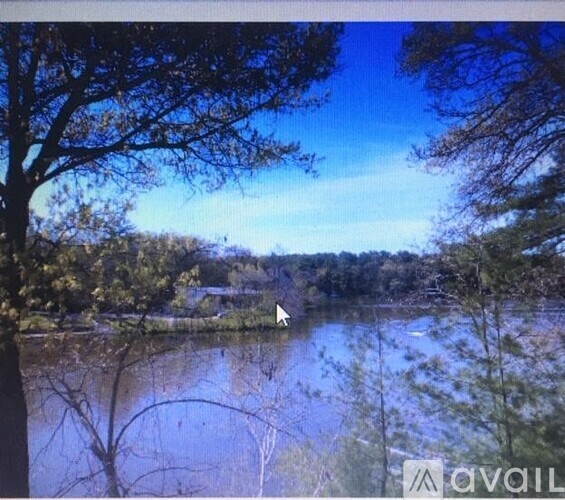 A serene lake surrounded by trees under a clear blue sky.