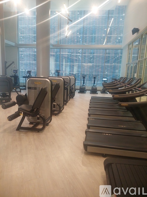 A gym with treadmills and elliptical machines.